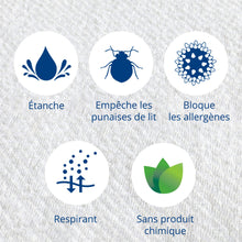 Charger l'image dans la galerie, Housses de matelas pour punaises de lit